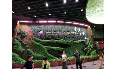2019北京世園會，我們來啦
